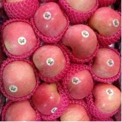 

Apel Fuji manis 500gr dan 1kg - 500gr