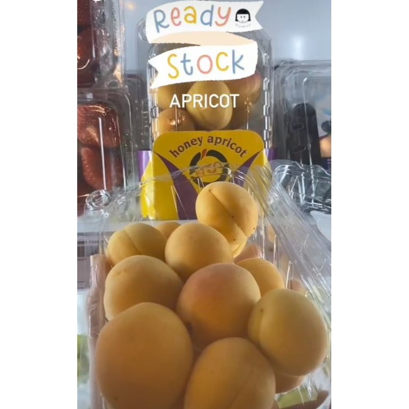 

Buah Apricot /Aprikot Import perpack