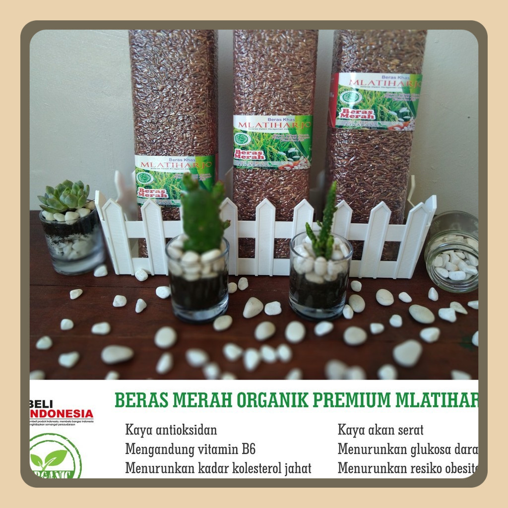 

Beras Merah Organik Premium Mlatiharjo (Diet & MPASI)