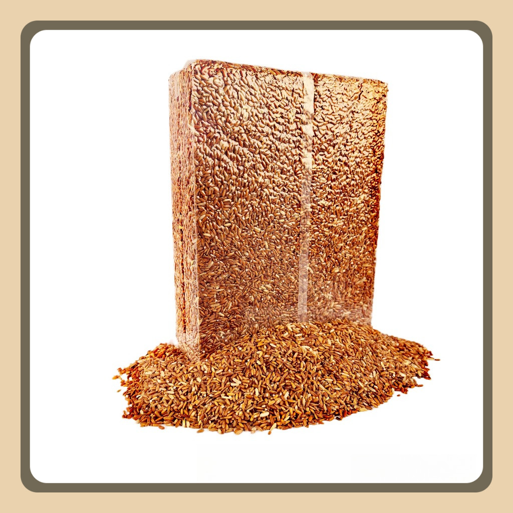 

Beras Merah Pulen Organik Untuk Diet Dan Diabetes Best Seller 2,5 Kg