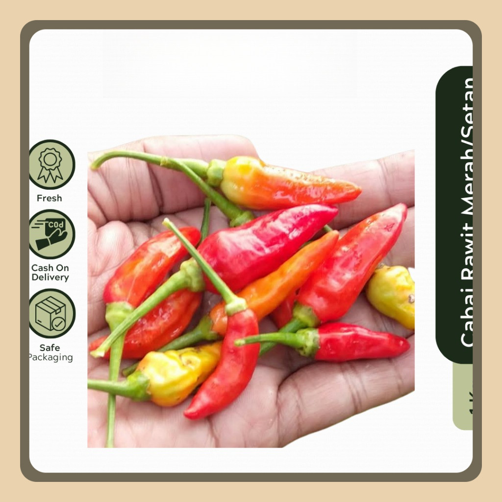 

Cabai Rawit Merah ORI 1kg Lombok Cabe Setan Segar