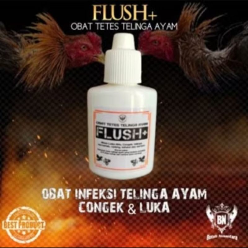 Vitamin Ayam Aduan Tangguh Obat tetes telinga luka infeksi bernanah bau FLUSH+