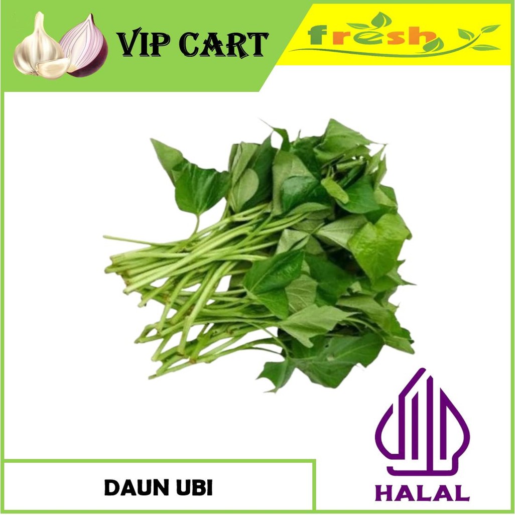 

DAUN UBI SEGAR FRESH PER IKAT - SAYUR DAUN