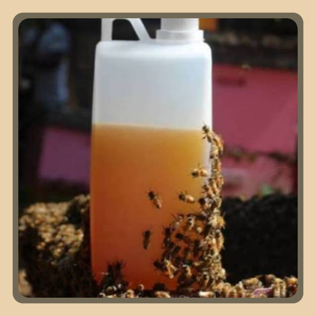 

[Best] MADU MURNI NEKTAR BUNGA TANPA PROSES | Raw Honey 1000 gr/1 kg