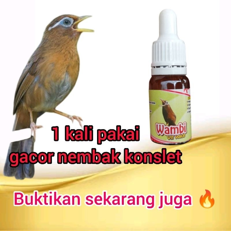 vitamin  burung wambi  wambie vit voice pengacor burung , ( wambi . sangkar jatuh, habis mabung atau