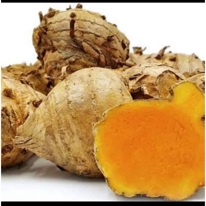 

Temulawak temu organik 250gr segar