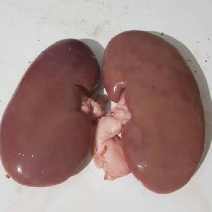 

Ginjal Babi 2 Pcs