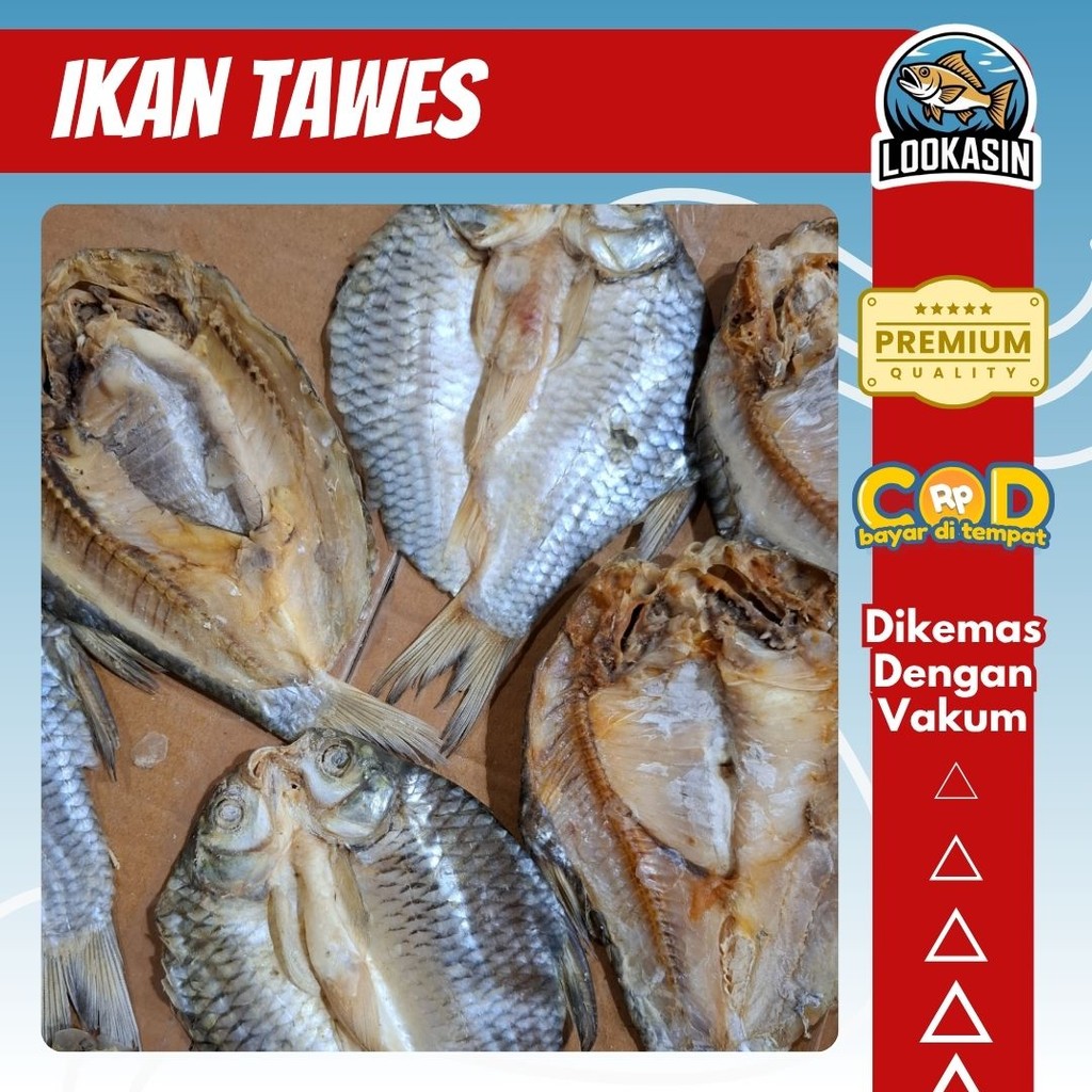 

Tawes Asin Tawar 500gr – Ikan Kering Tradisional | Gurih & Tahan Lama