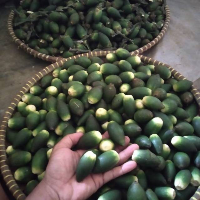 

[TERMURAH] jual buah pinang muda 1kg segar Stok ready silahkan diorder