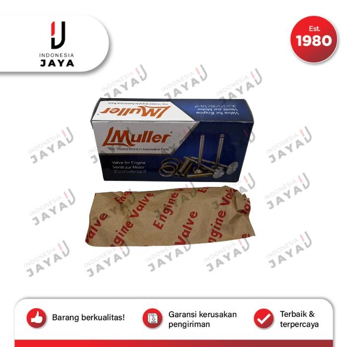 Klep Api & Minyak Ford Fiesta OEM