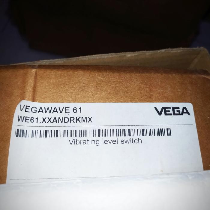 VEGAWAVE 61 LEVEL Vibrating