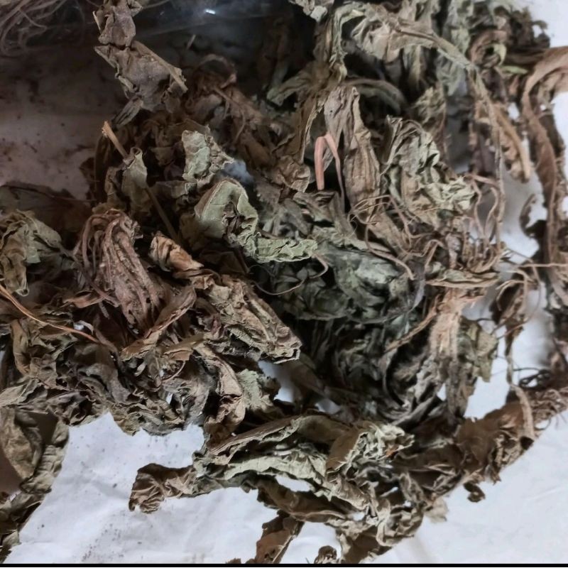 

MURAH Daun Tapak liman kering 100gr