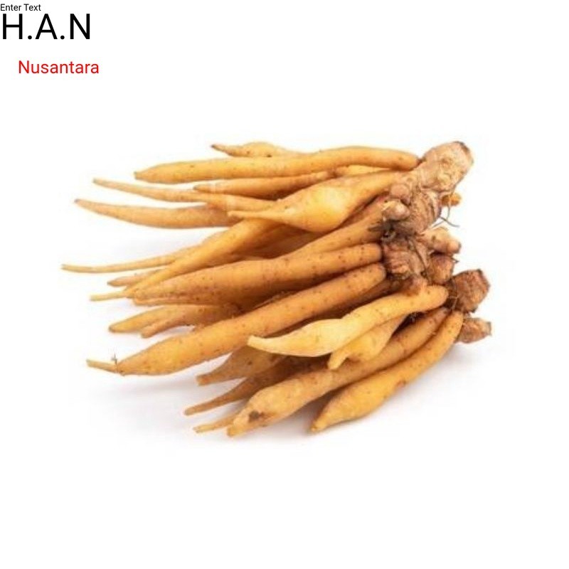 

Ready Temu kunci (curcuma xanathorriza roxb) segar 100gram