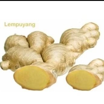 

Lempuyang Alami - mengobati peradangan.meningkatkan Kekebalan tubuh