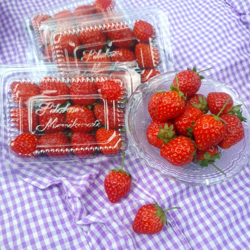 

Buah Strawberry Cup Mini Fresh -+ 80gr Size C || Stobeli Maniss