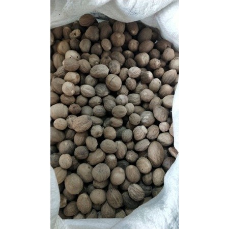 

BIJI PALA BULAT KERING 1KG kupas