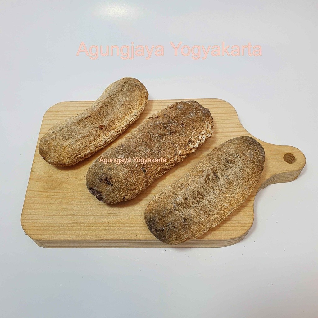 

Teripang Polos / Teripang Polos / Timun Laut / Hoisom / Sea Cucumber