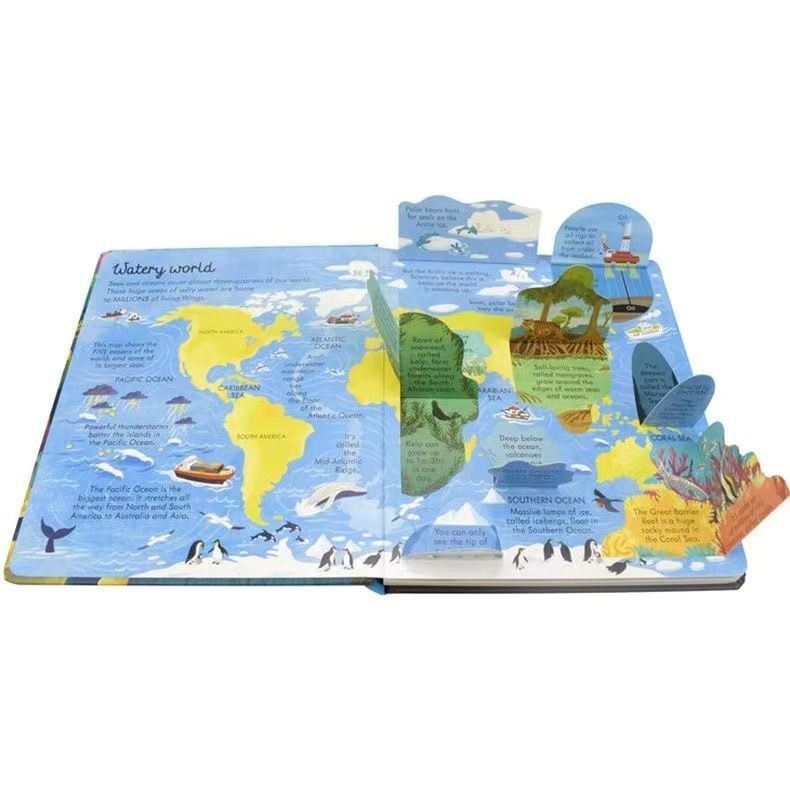 Kidnedu Look Inside Lift the Flap / Buku Edukasi Anak Lift the Flap