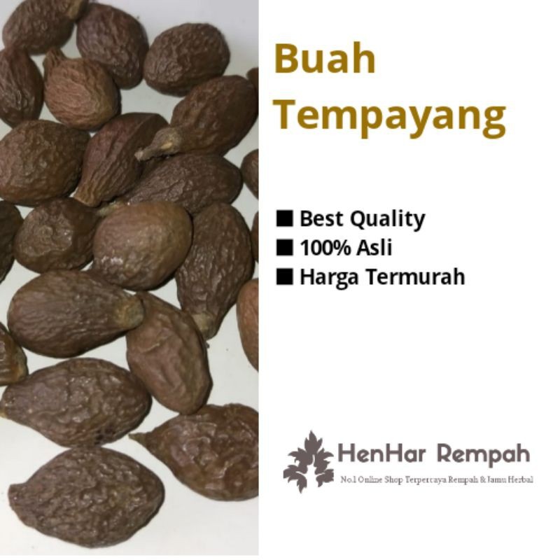 

Buah Tempayang / Buah kembang semangkok / Beng ta hai 1 Kg
