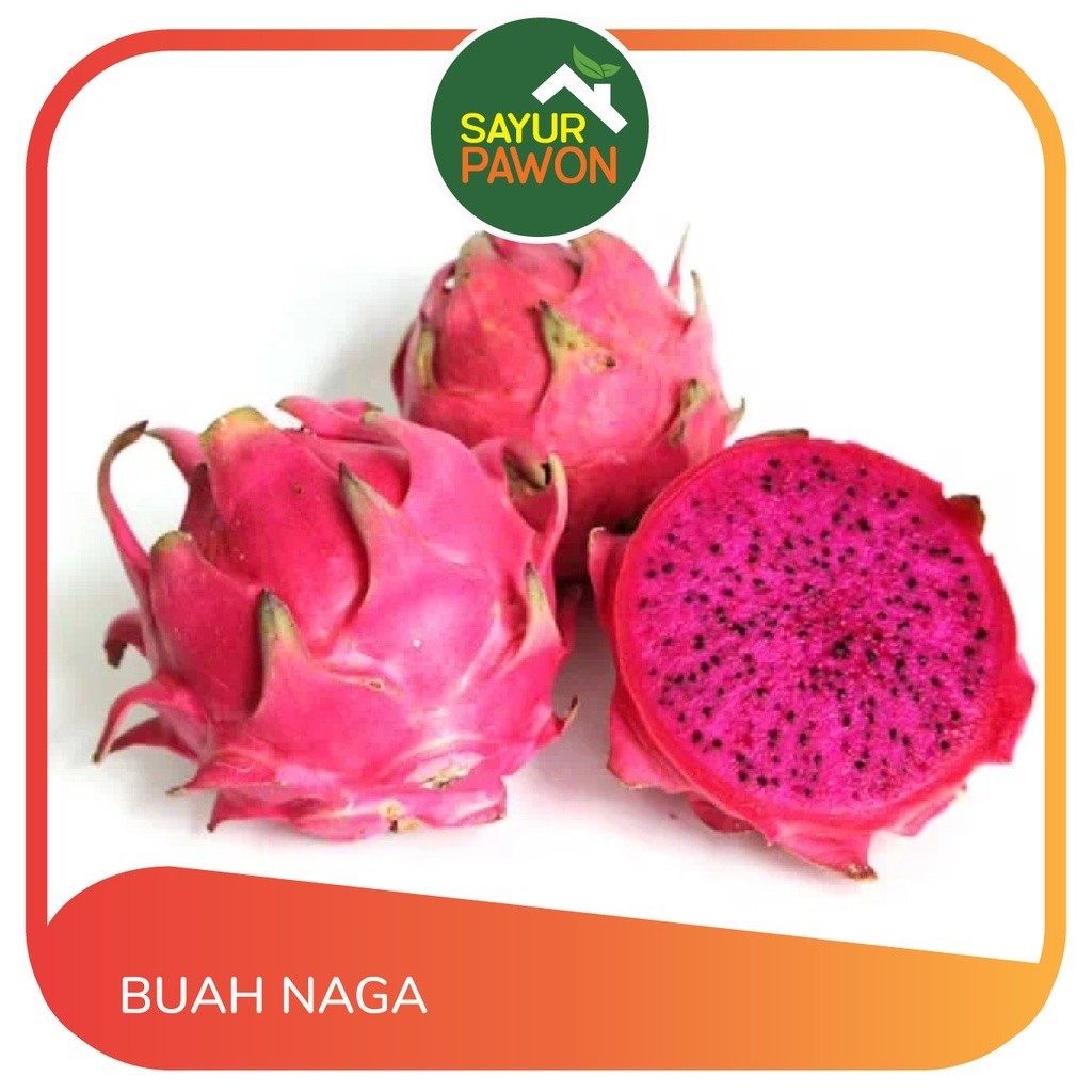 

BUAH NAGA 1 kg