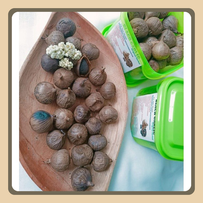 

Black Garlic Tunggal 500gram Anti Oksidan Tinggi