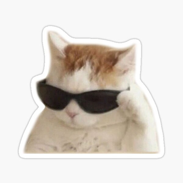 

Cat Meme Stickers v2 Stiker 3D Kucing Bahan Decal Lentur Anti Air Dan Panas cocok disemua kendaraan.