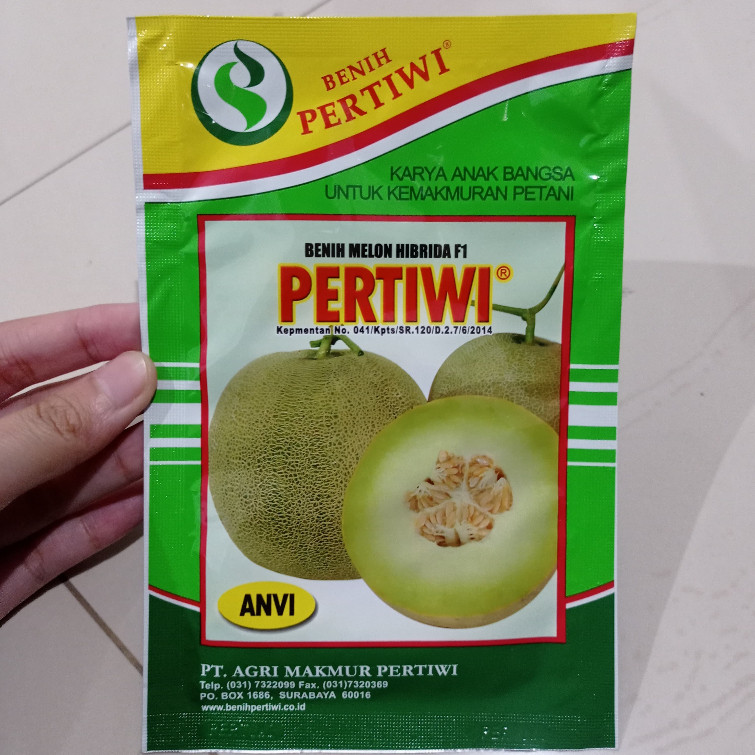 Biji Melon Pertiwi Benih Melon Anti Virus Hibrida F1