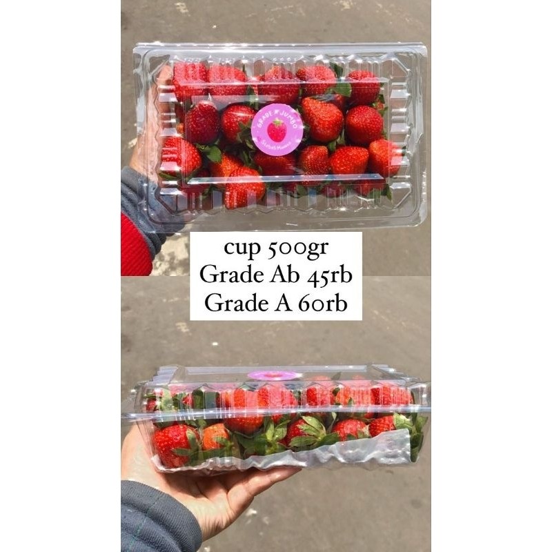 

Strawberry Fresh Grade A 500gr