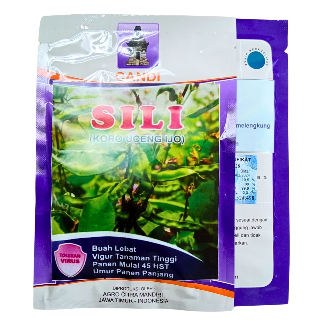SILI Benih Koro Uceng Ijo 50gr Tumbuh Merambat Cocok Lahan Terbatas