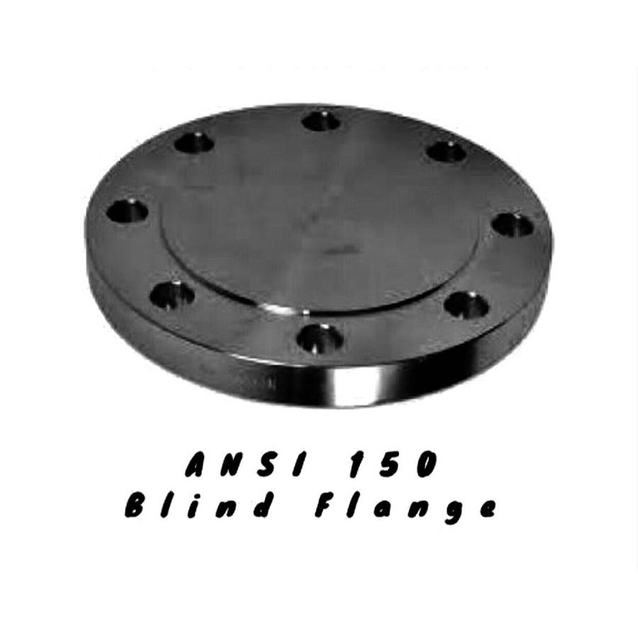 Blind Flange Besi 12" Inch Ansi 150 - Flange Buta CS DN300 Ansi 150