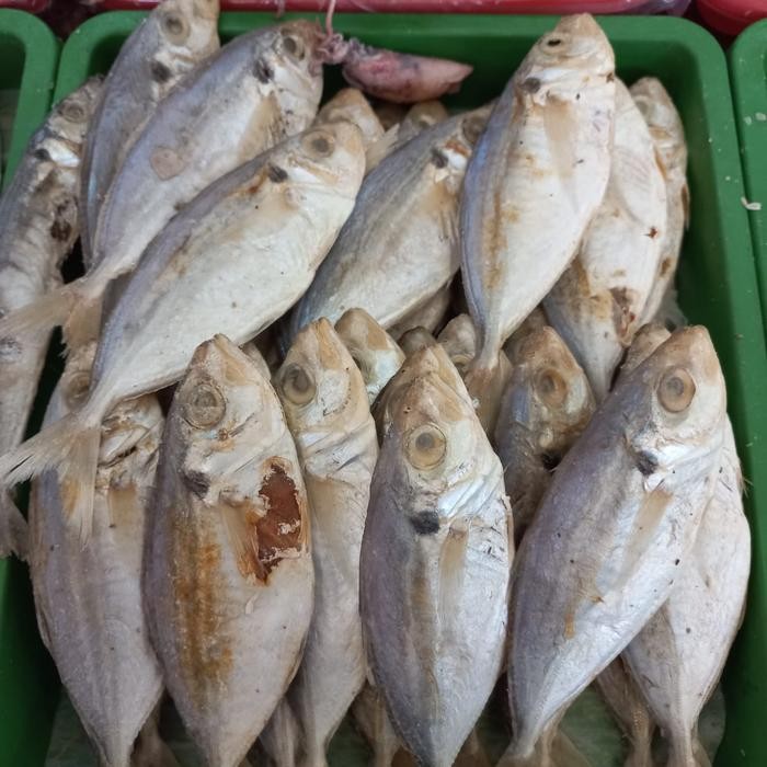 

Ikan Asin Selar 1 kg