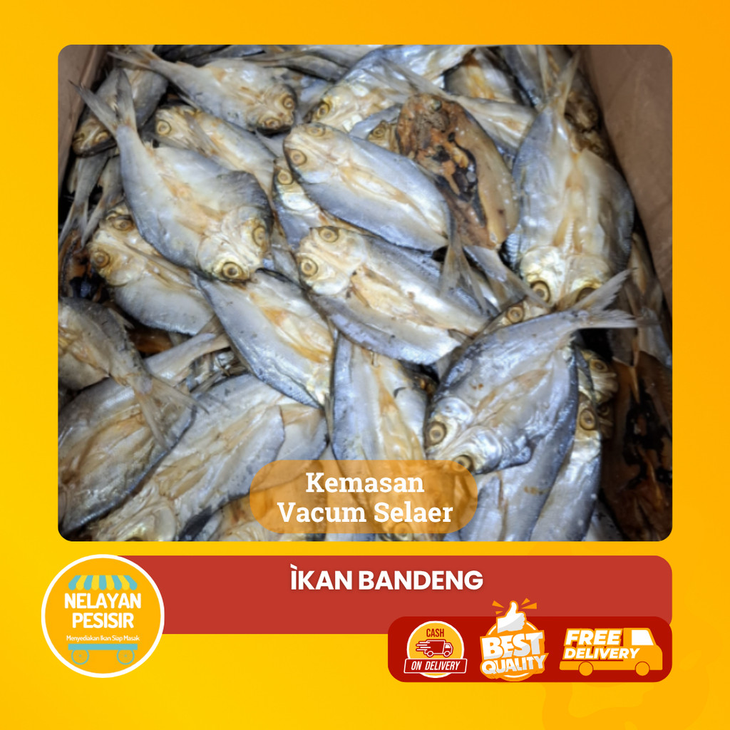 

Ikan Asin Bandeng Belah Super Kualitas Premium Harga Bersahabat
