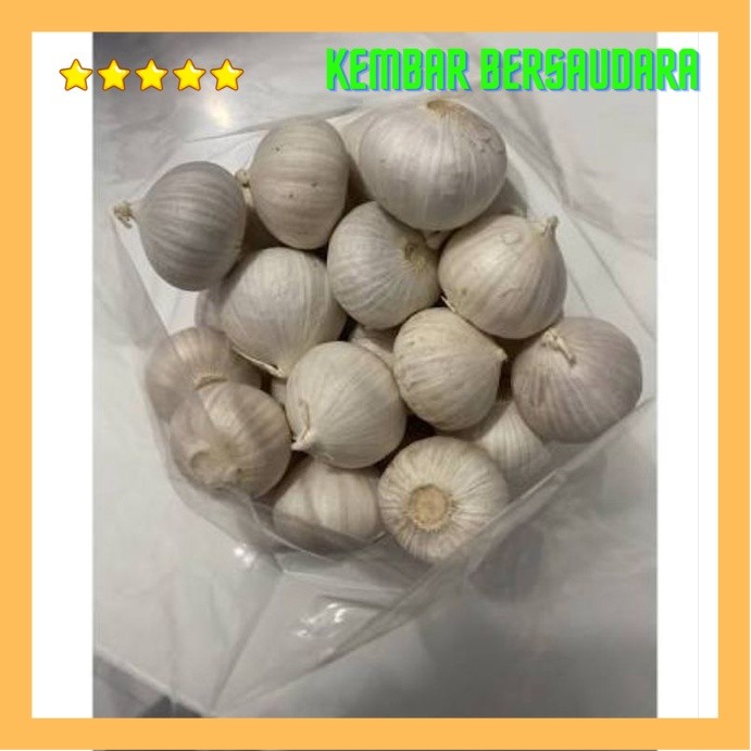 

bawang putih tunggal