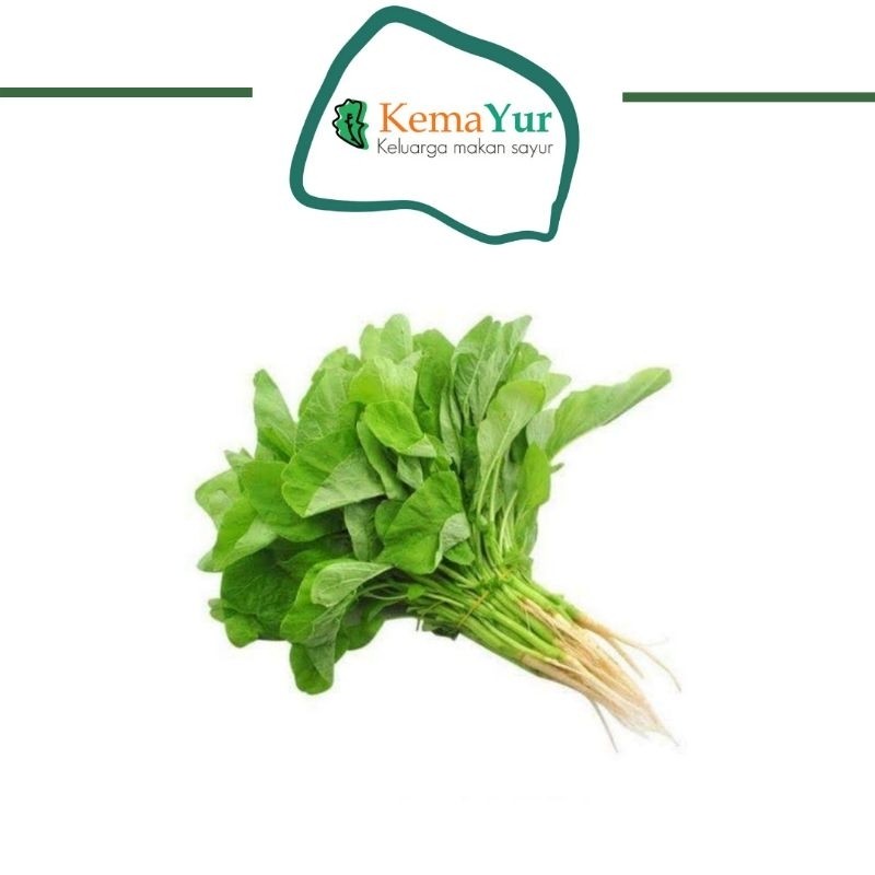

SAYUR BAYAM SAYUR FRESH 1 IKAT FRESH