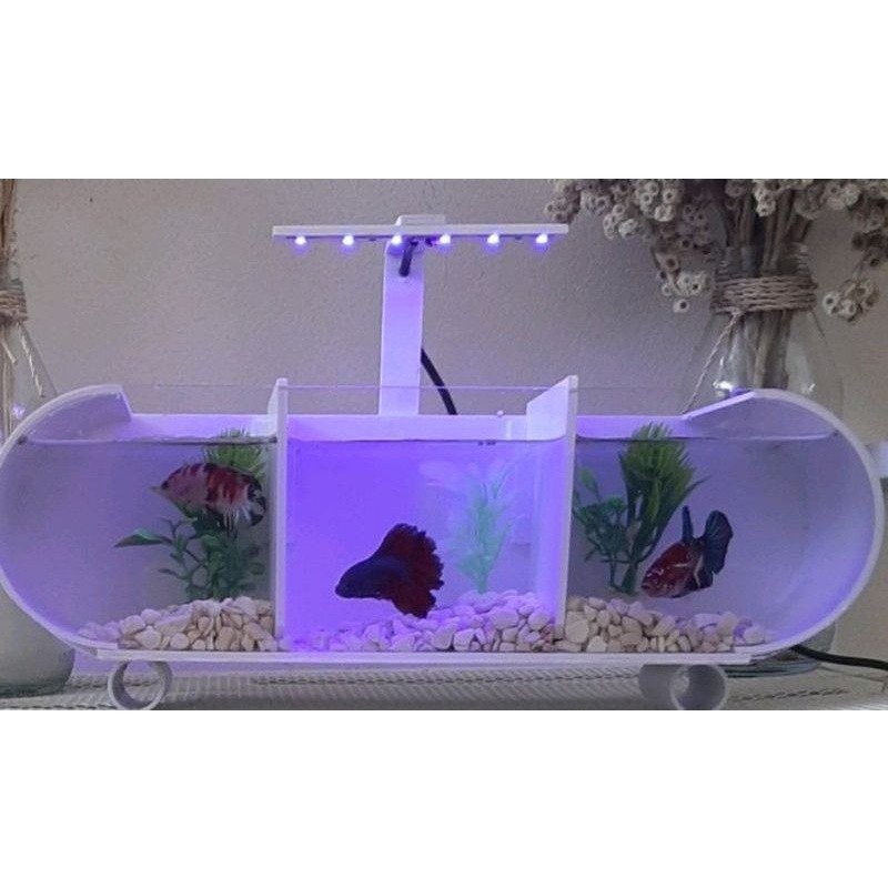 aquarium mini akrilik sekat 3