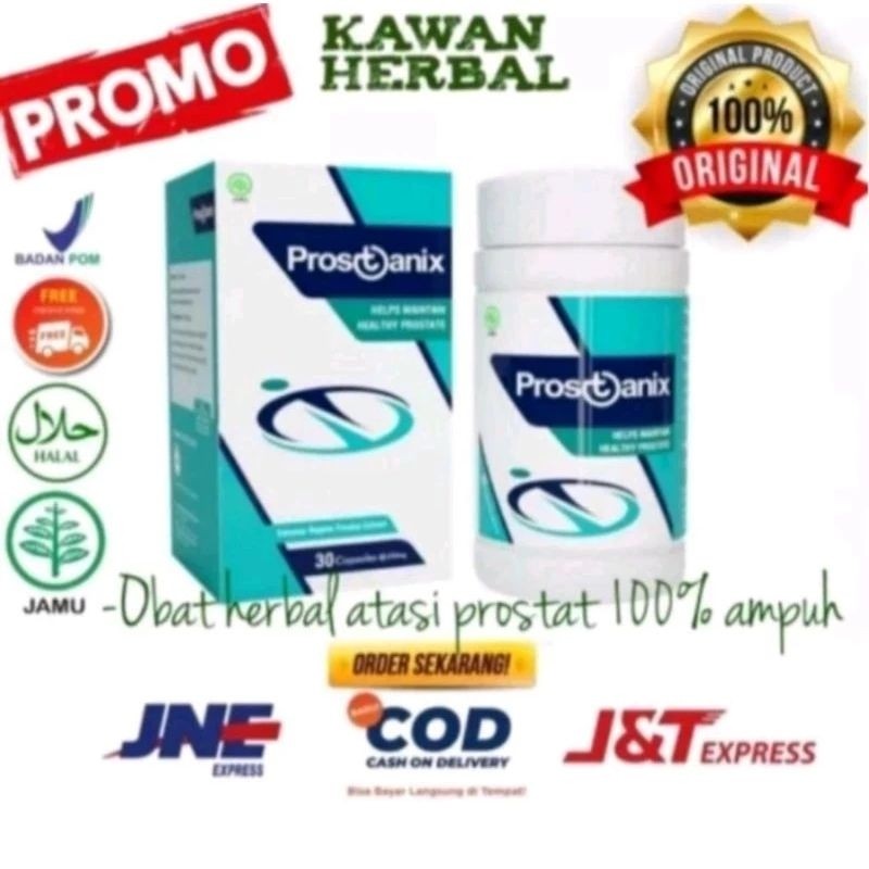 Prostanix Original Obat Herbal Prostat