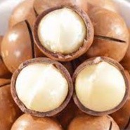 

Macadamia Kulit Roasted 500gram - Kacang yang Ngeselin FREE ALAT PEMBUKANYA