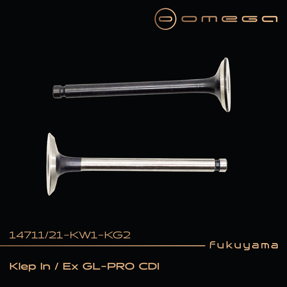 Fukuyama Klep In / Ex GL PRO CDI