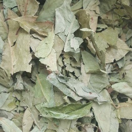 

MURAH Daun Salam Kering 100gr