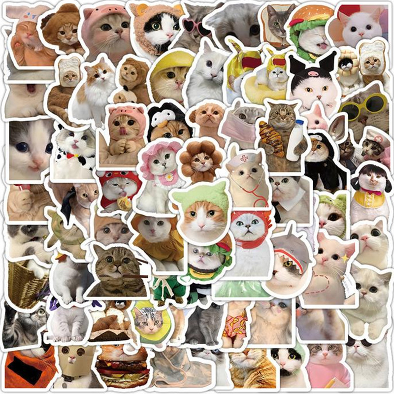 

10/50/100PCS Funny Cat Pets Meme Stickers Decal DI Y Scrapbook Suitcase Skateboard Laptop Graffiti Cute Animal Stickers Toy Gift
