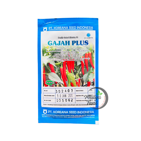 Benih Cabe Gajah Plus 10 Gram Cabe Besar Koreana Seed Original