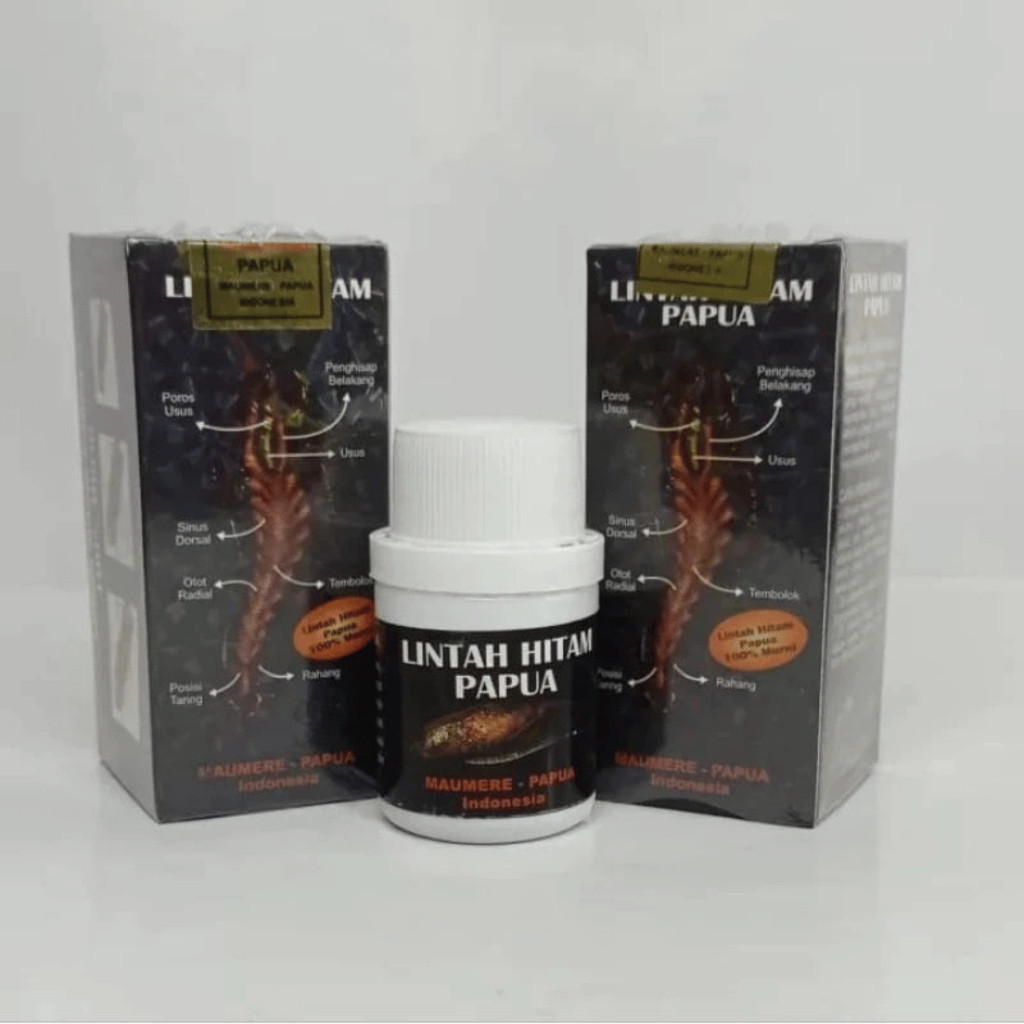 Minyak Lintah Hitam Papua Asli 100% Minyak Lintah Original 100% asli Minyak Lintah Original BY Herba