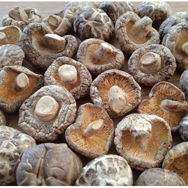 

Jamur Shiitake Kering Premium 100gr – Hioko Tebal, Kaya Nutrisi, Cocok untuk Masakan Sehat