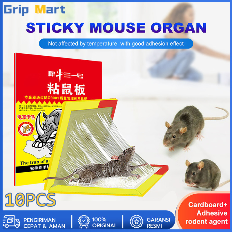 10pcs Lem Perangkap Tikus Model Buku / Alat Penangkap Pembunuh Pengusir Curut Kecoa Cicak Siap Pakai