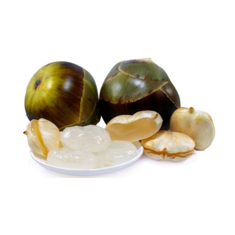 

SING LARIS Kolang Kaling Muda Tekstur Kenyal Hasil Rendam isi 2 KG