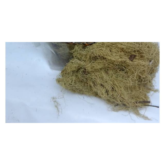 

MURAH Kayu angin/akar kayu angin 100gr