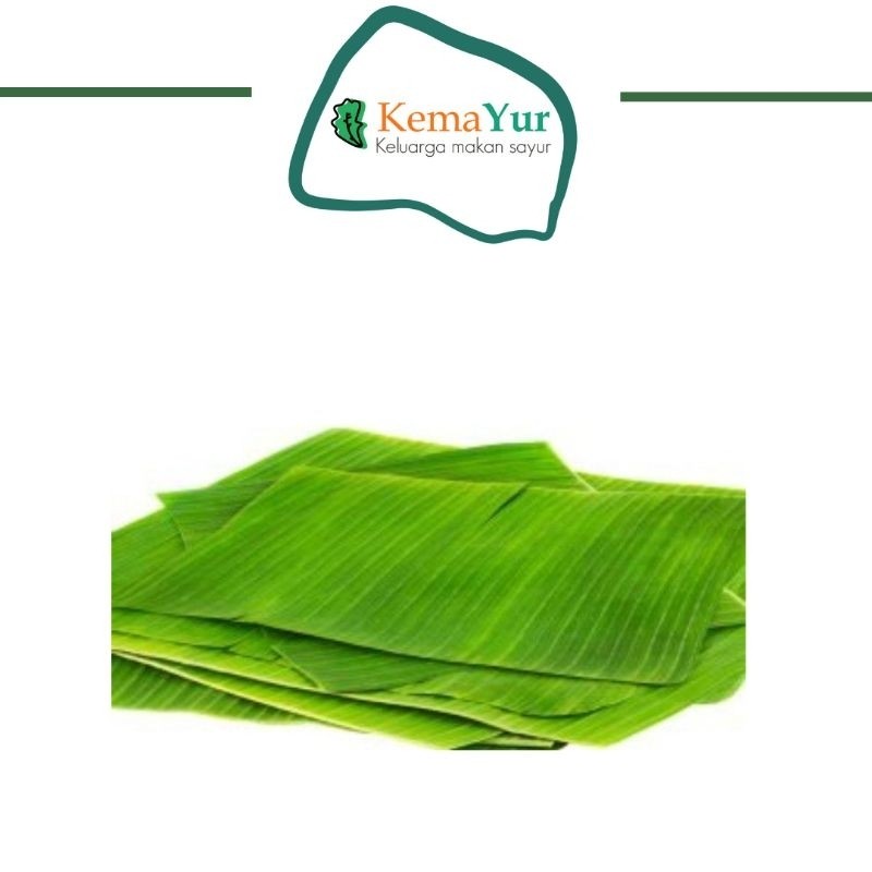 

DAUN PISANG 1 IKAT terlaris