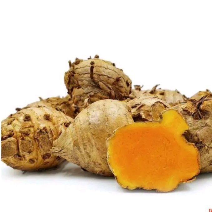 

500 gr temulawak segar