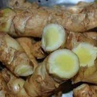 

TEMU MANGGA SEGAR FRESH 500 gram BERSIH