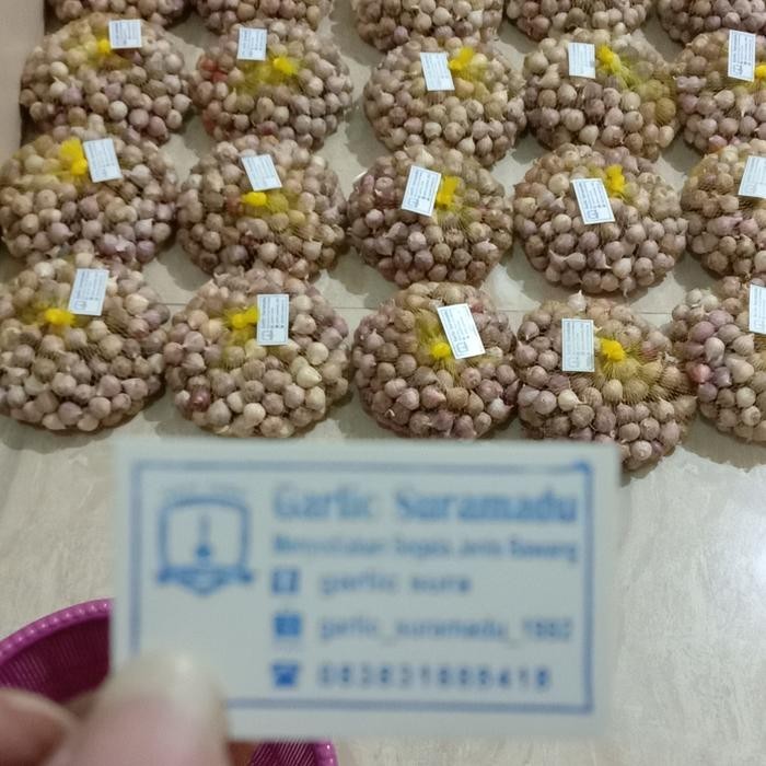 

bawang putih tunggal/Lanang 1kg